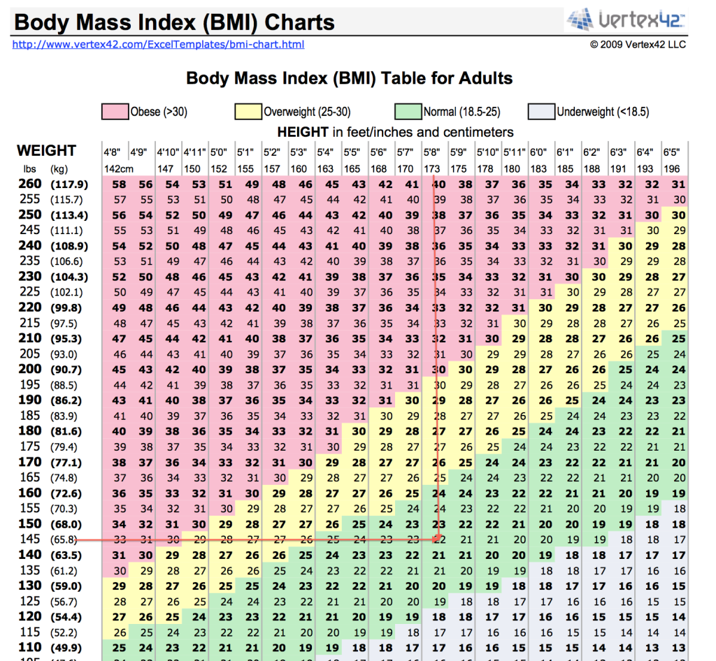 NHS BMI Chart and How to Use It - City Gate Training Centre