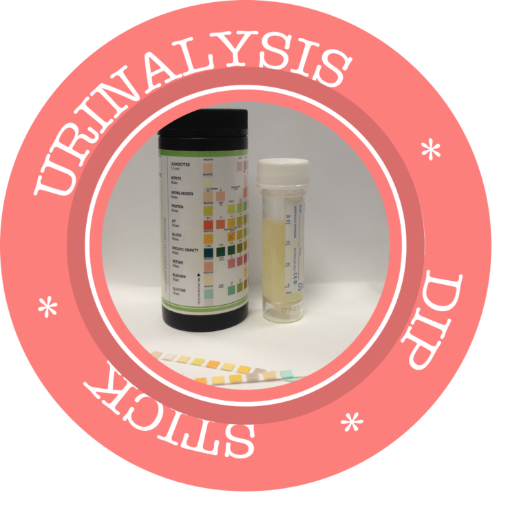 Urinalysis eClass City Gate Training Centre